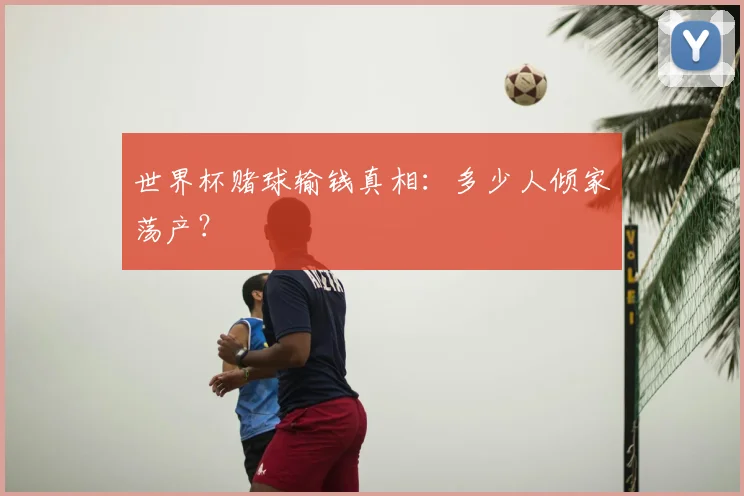 世界杯赌球输钱真相：多少人倾家荡产？