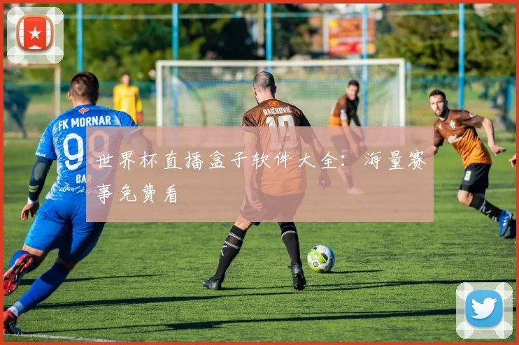 世界杯直播盒子软件大全：海量赛事免费看