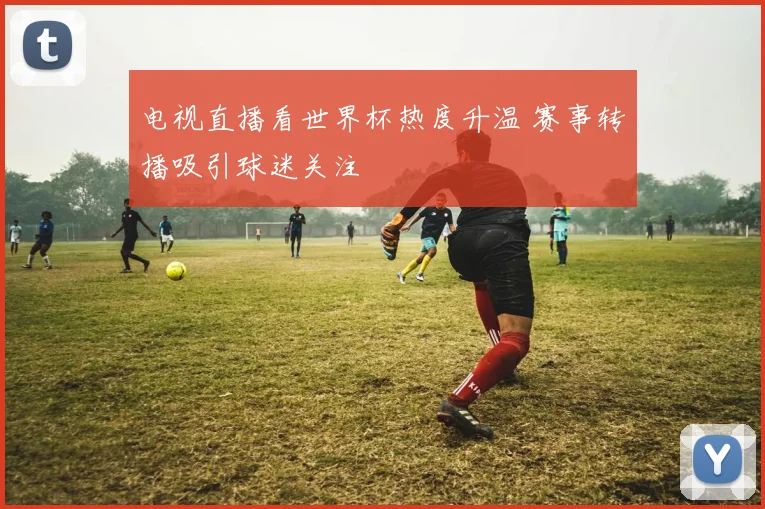 电视直播看世界杯热度升温 赛事转播吸引球迷关注