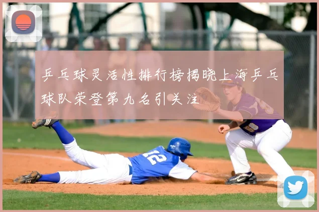 乒乓球灵活性排行榜揭晓上海乒乓球队荣登第九名引关注